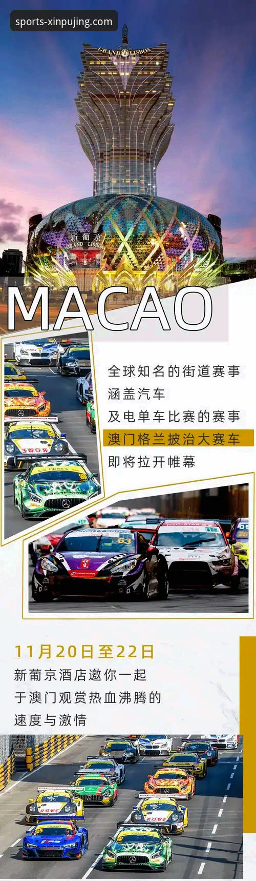 新普京体育平台安全吗？一个新手必须了解的真相